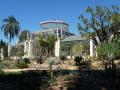 P1040358 - Botanical gardens, Adelaide