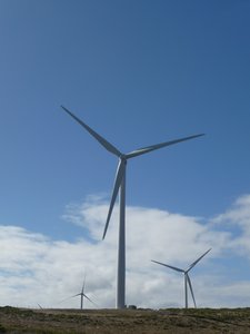 P1040301 - wind farm, Cape Bridgewater