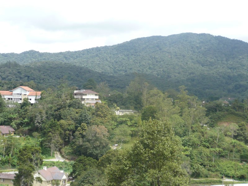 View from  hotel in Tanah Rata
