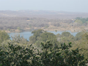  The lake at Ranthambhore
