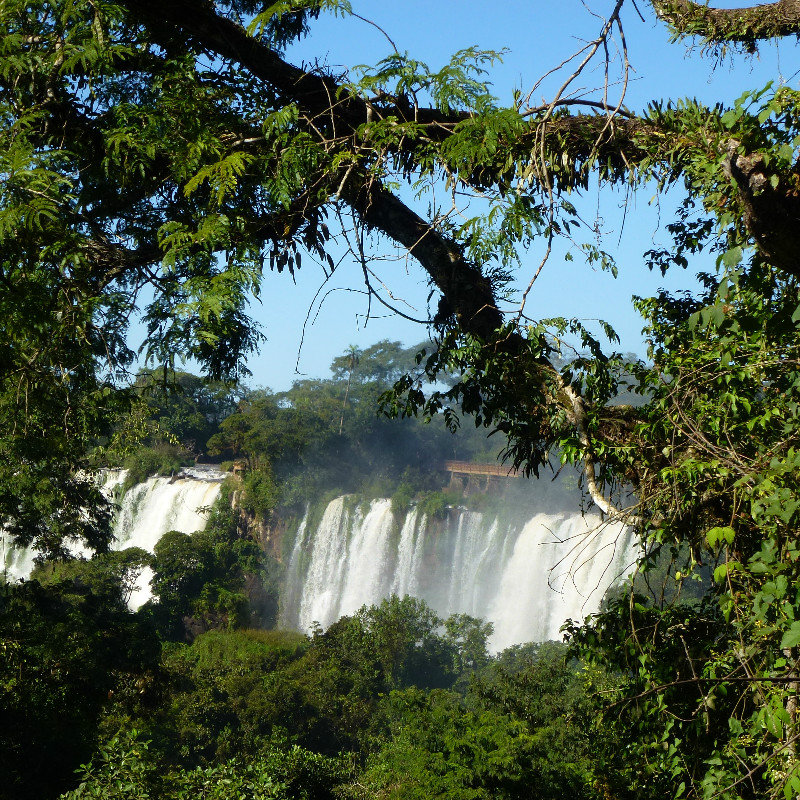 First glimpse of Iguazu Falls
