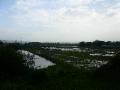 Rice fields near Luang Namtha