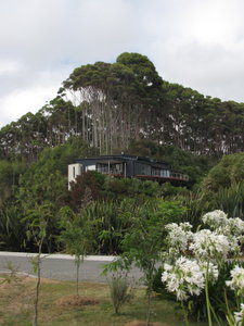 homes in Nelson