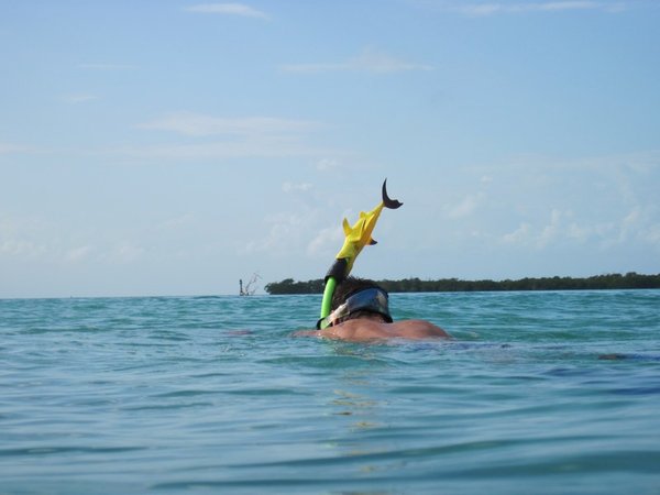 Jerrod takes Sharkie snorkeling