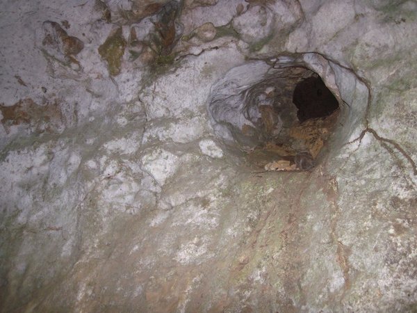 bat hole in ceiling of dry cave