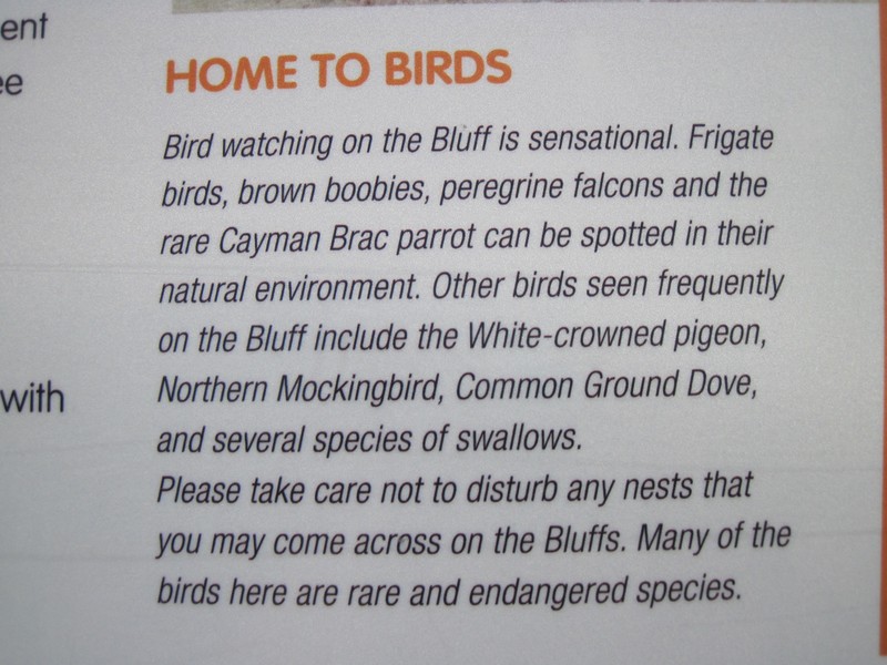 Bird info