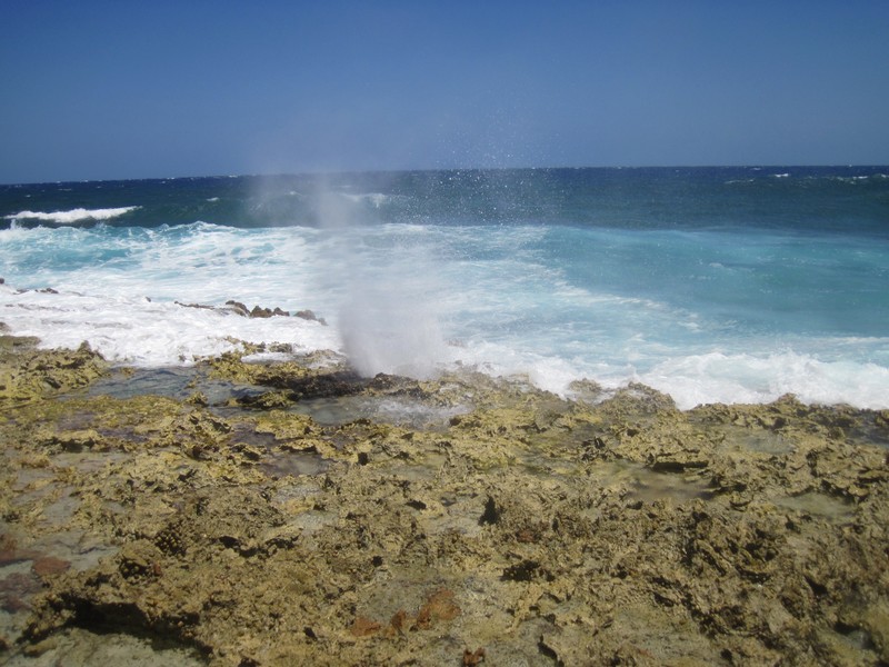 Blow hole...so cool