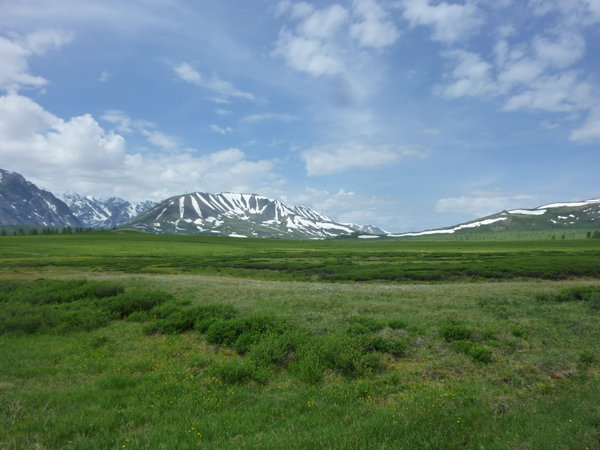 Altai II