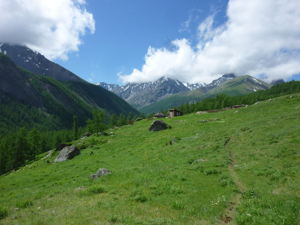 Altai XIII