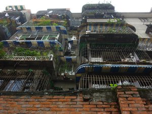 Typical Chengdu flats