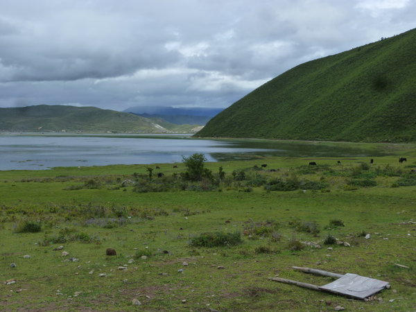 Napa lake, right side