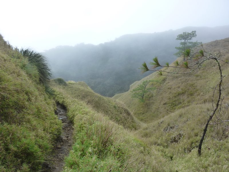 Down the Pulag