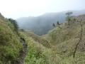 Down the Pulag