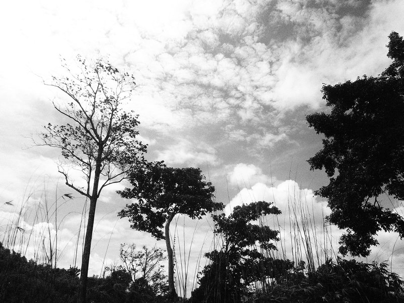 Palawan landscape II