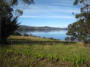 Along the Huon valley II