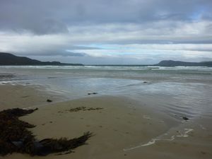 Bruny island VII