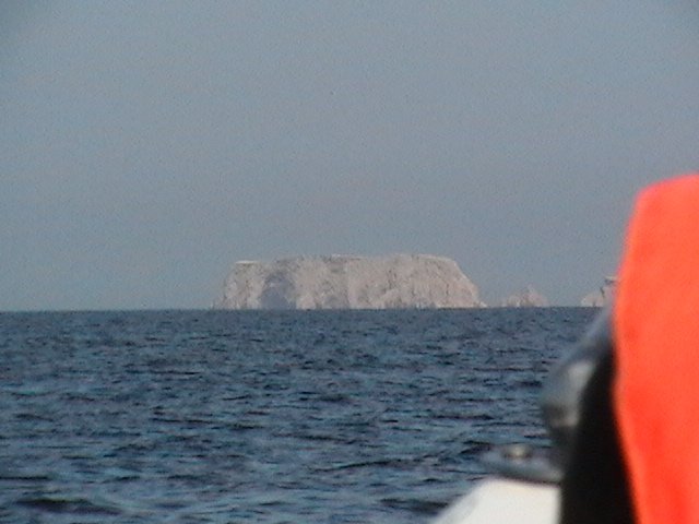 isla ballestas islands 019