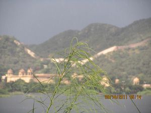 gurgaon, Agra and Jaipur India 199
