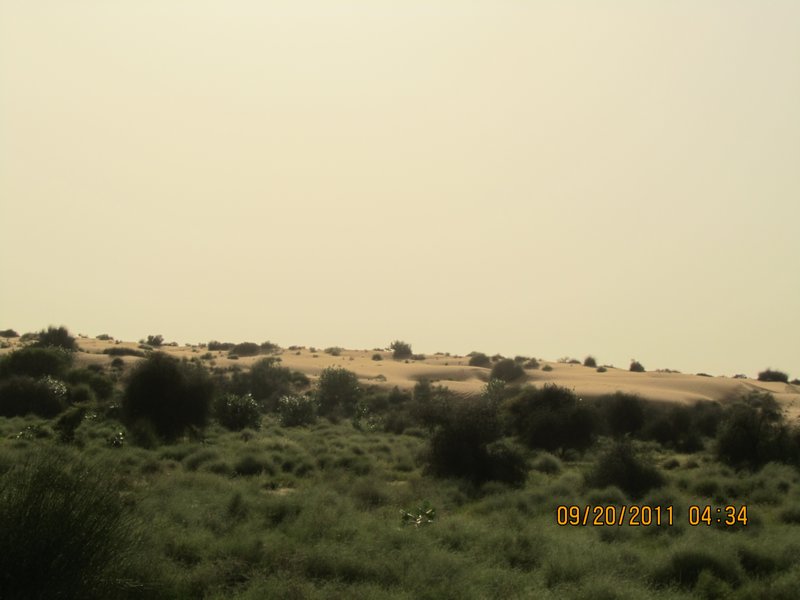 Jaisalmer and Camel Trek 098