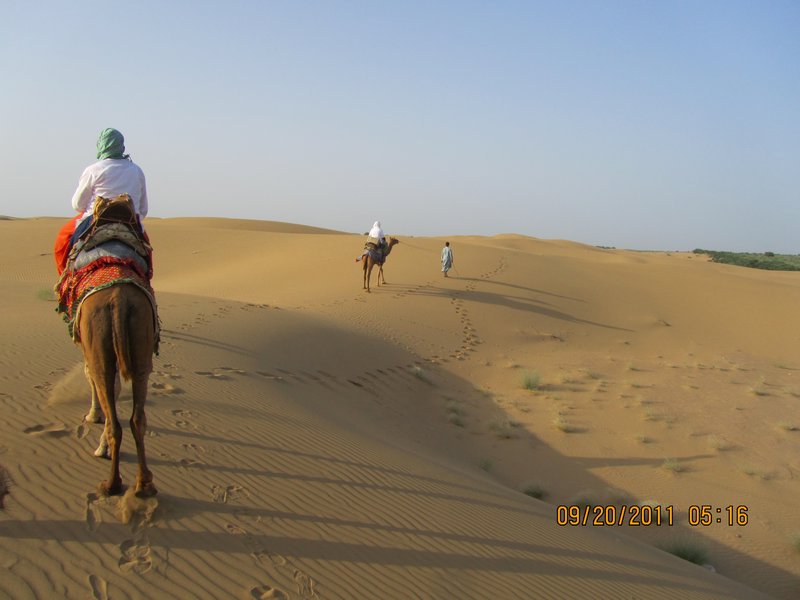 Jaisalmer and Camel Trek 106
