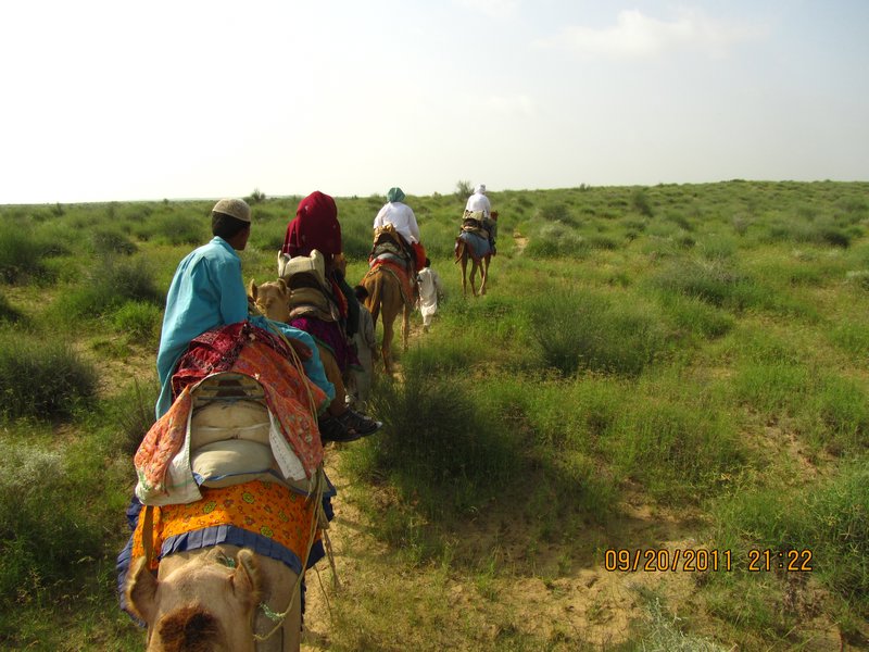 Jaisalmer and Camel Trek 197