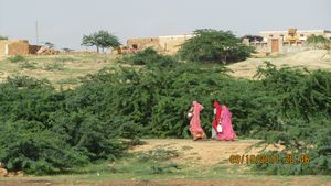 Jaisalmer and Camel Trek 039