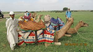 Jaisalmer and Camel Trek 049