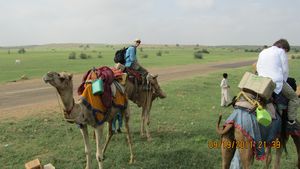 Jaisalmer and Camel Trek 055