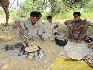 Jaisalmer and Camel Trek 092