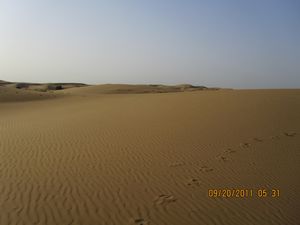 Jaisalmer and Camel Trek 111