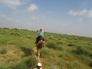 Jaisalmer and Camel Trek 193