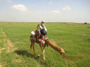 Jaisalmer and Camel Trek 202