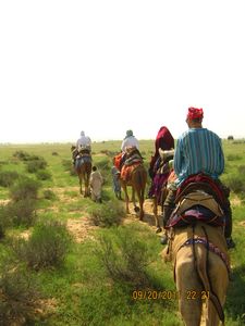 Jaisalmer and Camel Trek 214
