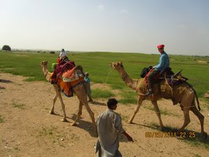 Jaisalmer and Camel Trek 216