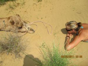 Jaisalmer and Camel Trek 238