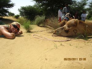 Jaisalmer and Camel Trek 240
