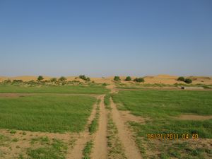 Jaisalmer and Camel Trek 264