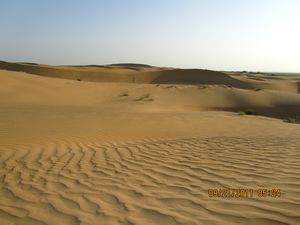 Jaisalmer and Camel Trek 268