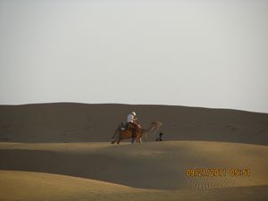 Jaisalmer and Camel Trek 285