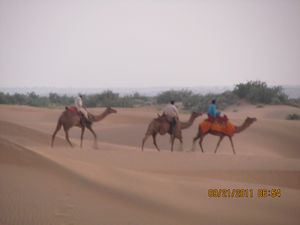 Jaisalmer and Camel Trek 344