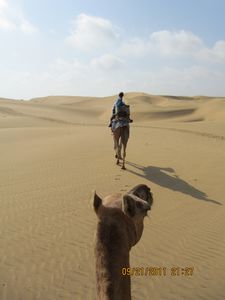 Jaisalmer and Camel Trek 370