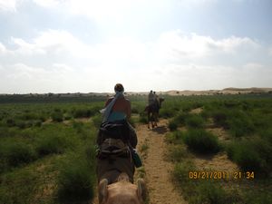 Jaisalmer and Camel Trek 375