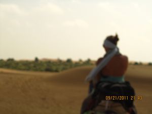 Jaisalmer and Camel Trek 381