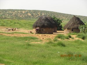 Jaisalmer and Camel Trek 382