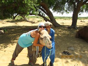 Jaisalmer and Camel Trek 389