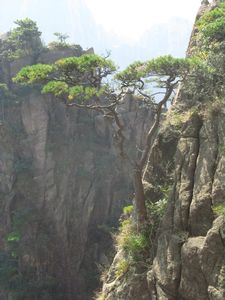 huangshan mountains 221