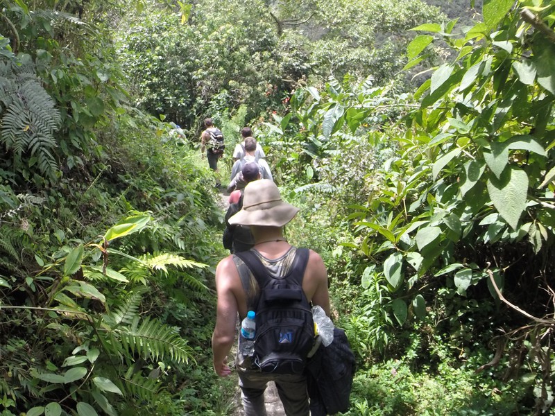 The group hiking through the thick jungle 