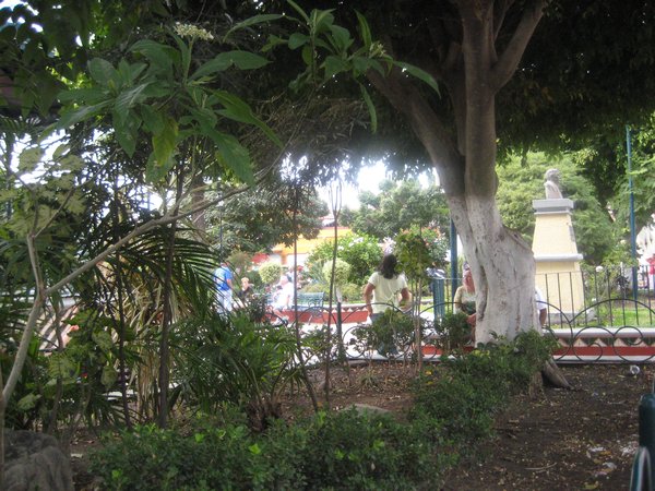 The plaza and beautiful greenery