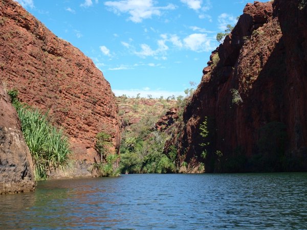 Lawn Hill Gorge from the canoe