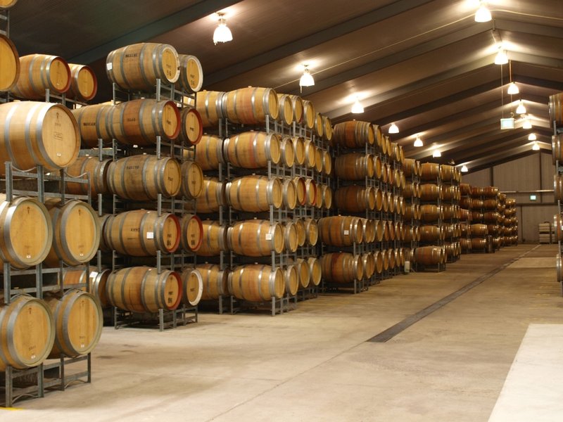 Taylors Wine Storage Cellar